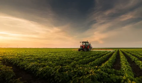 Produtores rurais têm até setembro para declarar imposto de renda