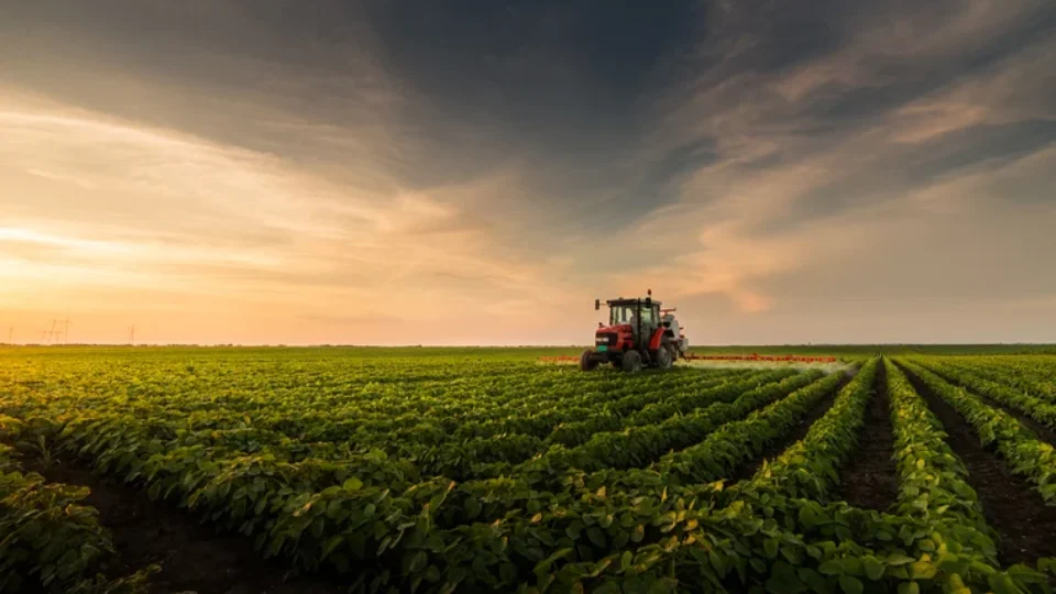 Produtores rurais têm até setembro para declarar imposto de renda