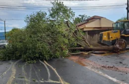 Inmet emite alertas de vendaval e rajadas podem chegar a 100 km/h