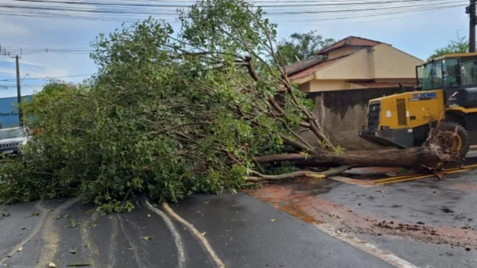 Inmet emite alertas de vendaval e rajadas podem chegar a 100 km/h