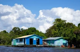 Prospera Amazônia prevê até R$ 230 milhões para fortalecer negócios da biodiversidade