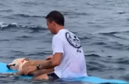 Surfista se despede de cachorro no mar em homenagem que emocionou a internet