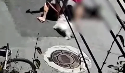 Filhote de golden retriever tem mandíbula quebrada após ataque de cão durante passeio em SP