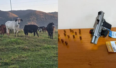 Operação mira suspeitos de furto de gado e apreende arma e animais no interior de MG