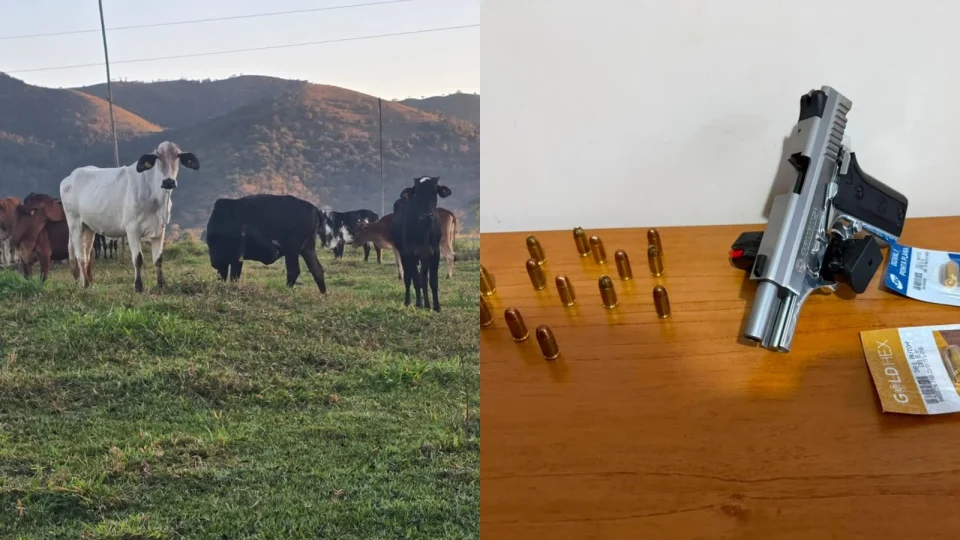 Operação mira suspeitos de furto de gado e apreende arma e animais no interior de MG