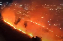 Grande incêndio atinge área de vegetação em São Carlos e fumaça se espalha pela cidade