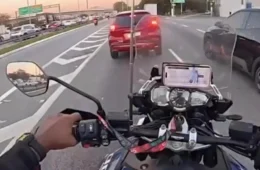 Homens escondidos em bananeiras na Marginal Tietê viralizam nas redes