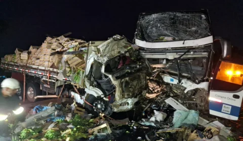 Batida entre ônibus e caminhão deixa dois mortos e cinco feridos na BR-116 em MG