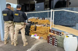 PRF encontra mais de meia tonelada de drogas, armas e motos roubadas escondidas em caminhão na BR-381