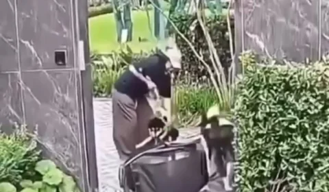Mulher é criticada após proteger cachorro enquanto filho fica em situação de risco