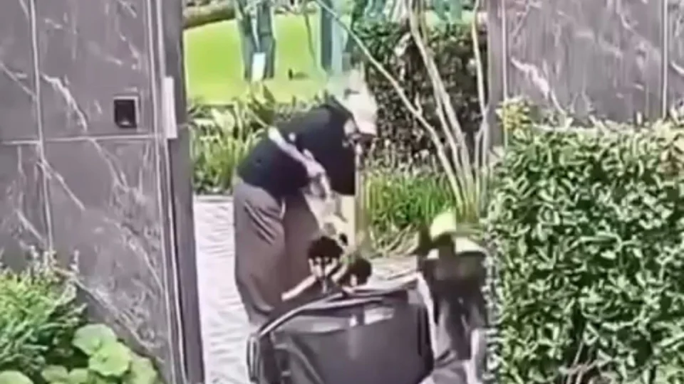 Mulher é criticada após proteger cachorro enquanto filho fica em situação de risco