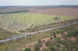 Ocupação de fazenda em Minas Gerais coloca Governo e MTL em lados opostos