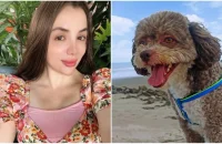 Advogada morre ao proteger cachorro durante terremoto na Colômbia
