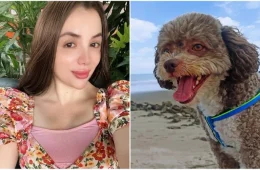 Advogada morre ao proteger cachorro durante terremoto na Colômbia