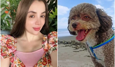 Advogada morre ao proteger cachorro durante terremoto na Colômbia