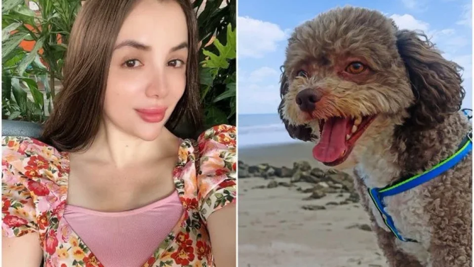 Advogada morre ao proteger cachorro durante terremoto na Colômbia