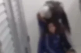 Estudante é agredida por colegas dentro de banheiro de escola em São Paulo