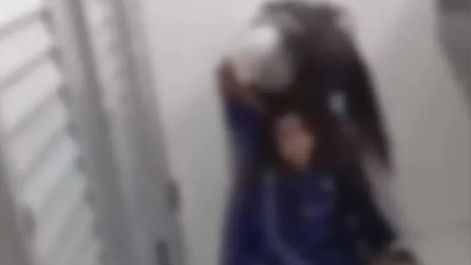 Estudante é agredida por colegas dentro de banheiro de escola em São Paulo
