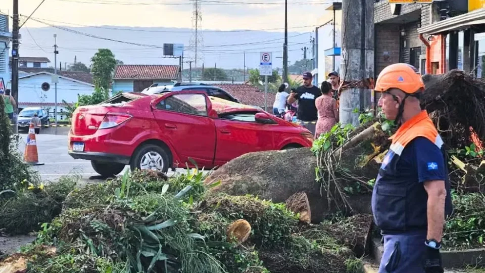 Árvore cai sobre carro com família dentro e cena de desespero comove Santos