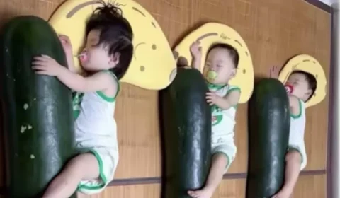 Calor extremo faz chineses dormirem abraçados a melões para se refrescar. Entenda a tradição