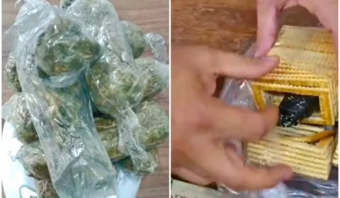 Mulher é presa ao tentar levar droga escondida em pacote de bolacha para filho preso