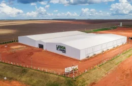 SOJA3 ri com lucro e sobe 504% no Ebitda no 2º trimestre