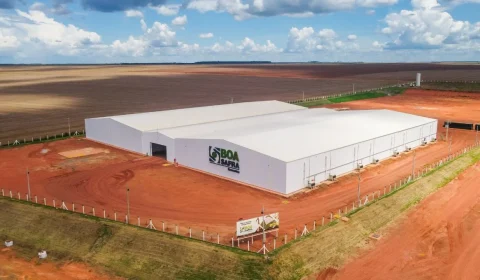 SOJA3 ri com lucro e sobe 504% no Ebitda no 2º trimestre