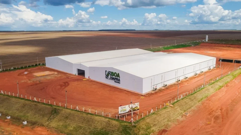 SOJA3 ri com lucro e sobe 504% no Ebitda no 2º trimestre