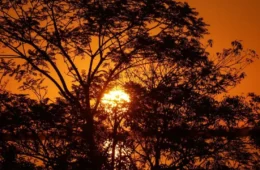 El Niño: Inmet emite alerta vermelho para ciclones e chuvas intensas em agosto