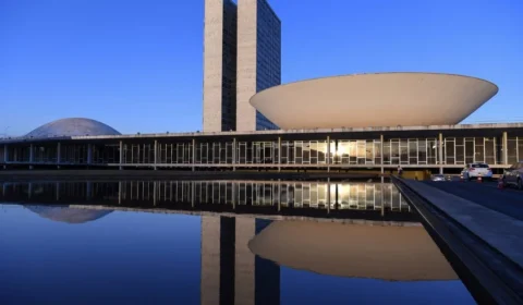 Quase 80% dos deputados federais eleitos em 2022 tentam reeleição