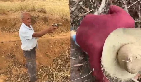 Discussão por poda de árvore termina com duas mortes em MG