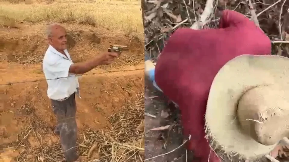 Discussão por poda de árvore termina com duas mortes em MG
