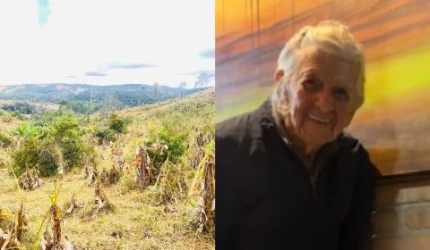 Idosa de 95 anos desaparece em área de mata na Grande BH