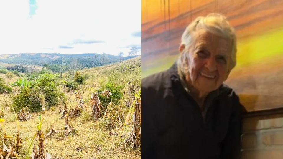 Idosa de 95 anos desaparece em área de mata na Grande BH