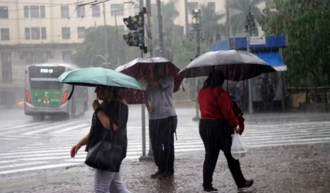 Chuva forte e rajadas de até 100 km/h colocam São Paulo em estado de atenção