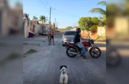 Influenciador faz manobra para estacionar moto e para trânsito no Tocantins