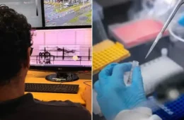 Corpo encontrado em contêiner no Porto de Santos continua sem identificação; DNA pode ser decisivo para esclarecer o caso