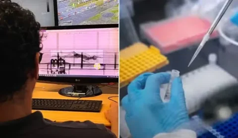 Corpo encontrado em contêiner no Porto de Santos continua sem identificação; DNA pode ser decisivo para esclarecer o caso