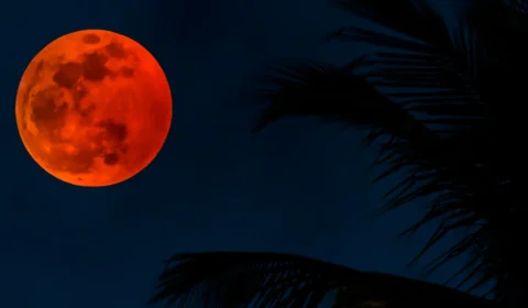 Eclipse lunar no Brasil: confira o dia em que você poderá observar o fenômeno e se a sua região será contemplada