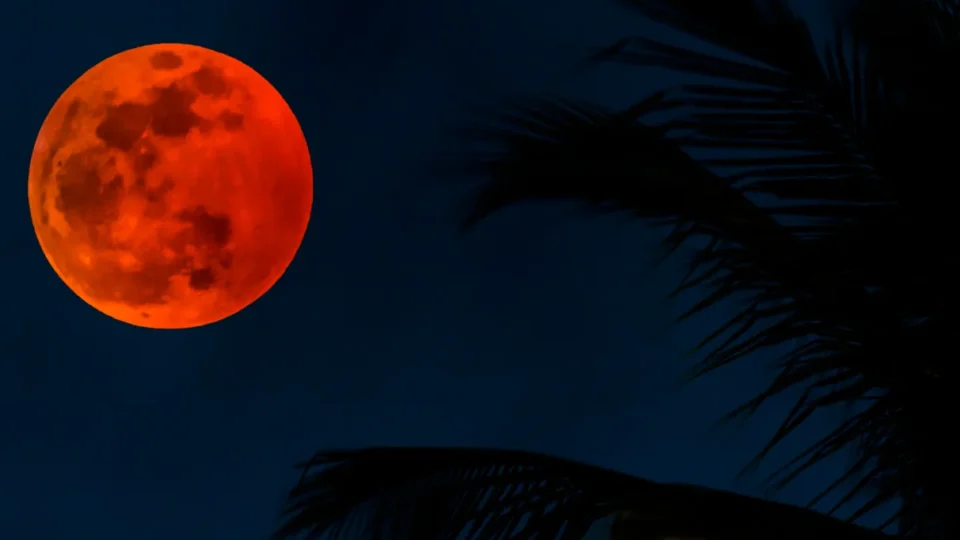 Eclipse lunar no Brasil: confira o dia em que você poderá observar o fenômeno e se a sua região será contemplada