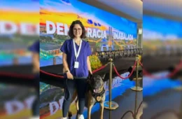 Veterinária atacada por cão do Senado continua em estado grave após cirurgia