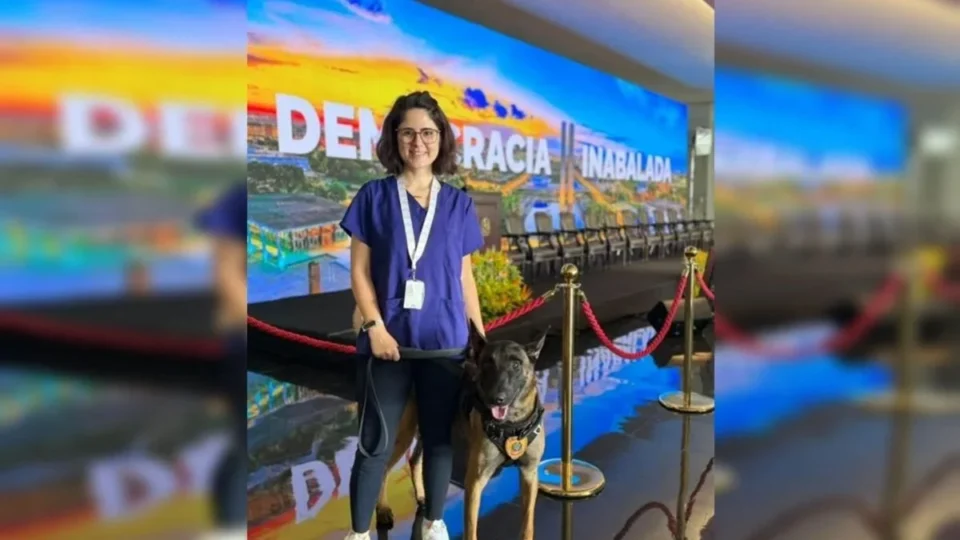 Veterinária atacada por cão do Senado continua em estado grave após cirurgia