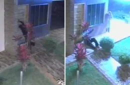 Homem é preso por tentativa de feminicídio após espancar namorada com pedaço de madeira no Paraná
