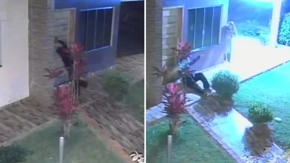Homem é preso por tentativa de feminicídio após espancar namorada com pedaço de madeira no Paraná