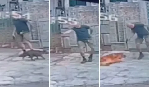VÍDEO: Homem atira e mata cachorro na Tijuca após animal se aproximar de outro cão