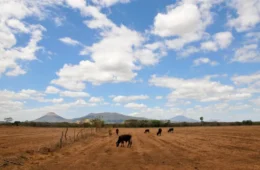 Super El Niño pode mudar o clima e acender alerta em várias regiões