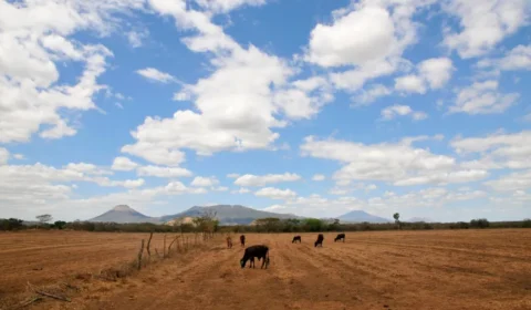 Super El Niño pode mudar o clima e acender alerta em várias regiões