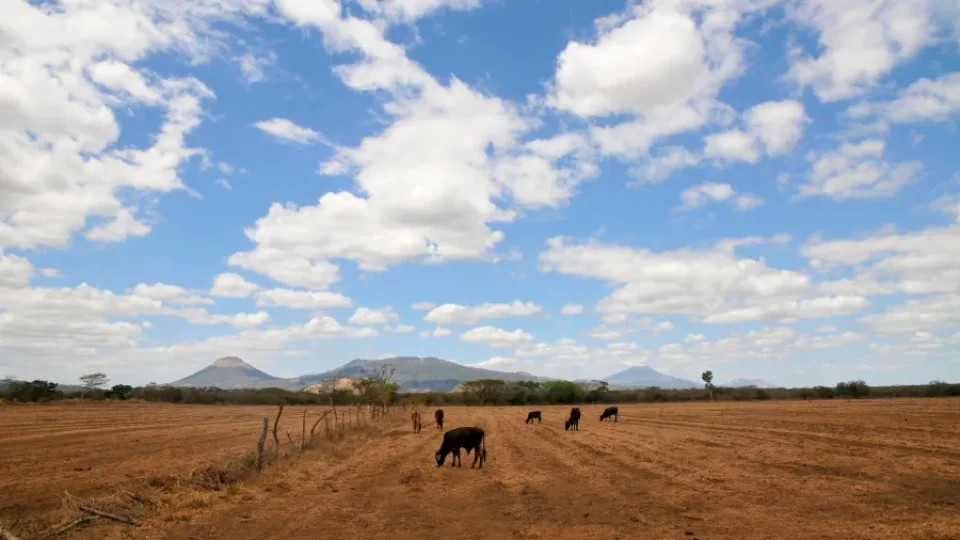 Super El Niño pode mudar o clima e acender alerta em várias regiões
