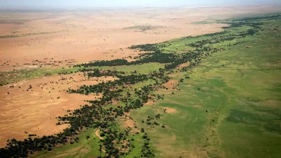 Grande Muralha Verde recupera 1,66 milhão de hectares e transforma áreas degradadas na África