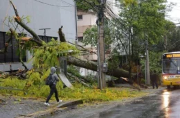 INMET emite alerta de vendaval para estados; veja onde há risco de ventos fortes